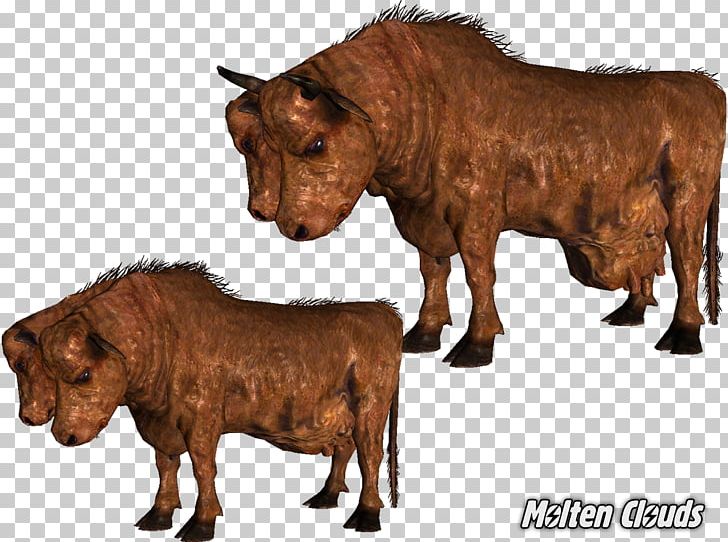 Fallout: New Vegas Fallout 2 Bull Cattle Scorpion PNG, Clipart, Animals, Arizona Bark Scorpion, Bull, Cattle, Cattle Like Mammal Free PNG Download