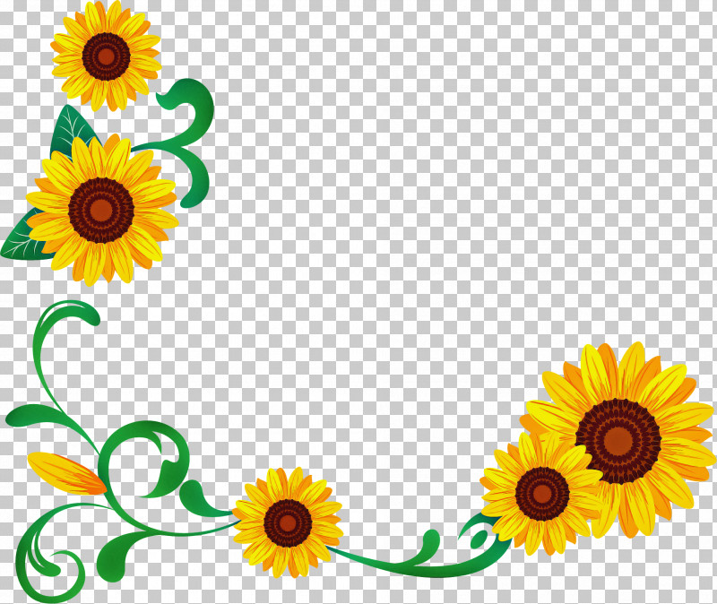 Sunflower Summer Flower PNG, Clipart, Drawing, Floral Design, Floral Frame, Flower, Painting Free PNG Download