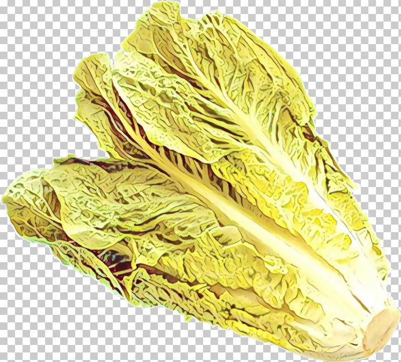 Chinese Cabbage Food Cabbage Plant Vegetable PNG, Clipart, Cabbage, Chinese Cabbage, Food, Leaf Vegetable, Plant Free PNG Download