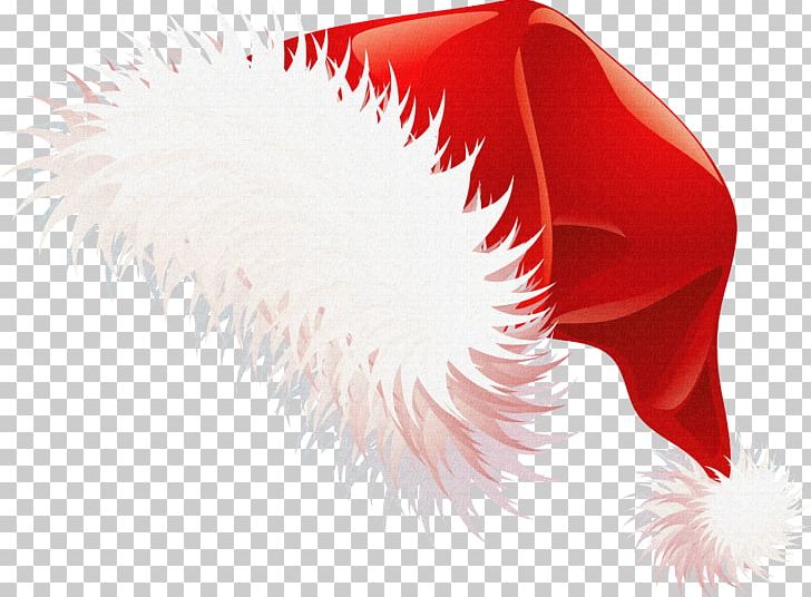 Christmas Santa Claus PNG, Clipart, Cap, Christmas, Christmas Ornament, Christmas Treasures, Digital Image Free PNG Download