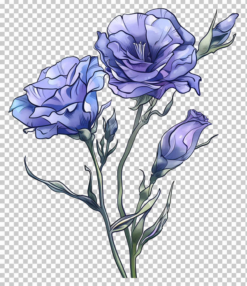 Blue Lisianthus Flower - Purple Flowers Botanical Illustration PNG