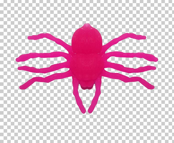 Invertebrate Pink M PNG, Clipart, Invertebrate, Magenta, Miscellaneous, Organism, Others Free PNG Download
