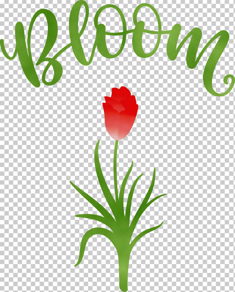 Floral Design PNG, Clipart, Bloom, Cut Flowers, Floral Design, Flower, Herbaceous Plant Free PNG Download