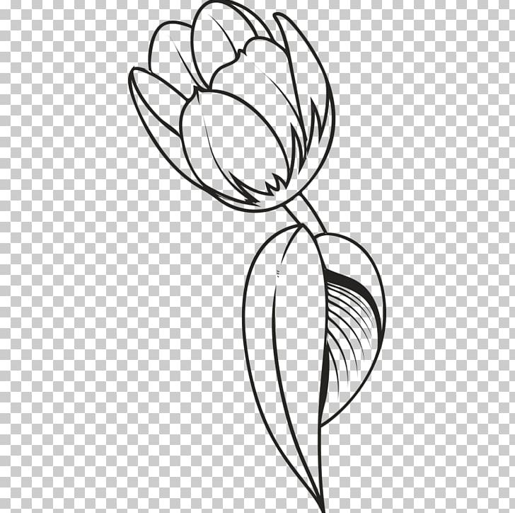 Drawing Tulip Flower PNG, Clipart, Black And White, Circle, Colored Pencil, Coloring Book, Cut Flowers Free PNG Download