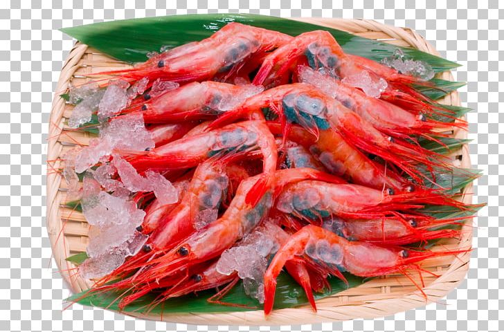 Caridea Shrimp Sashimi Food PNG, Clipart, Animals, Animal Source Foods, Botan Shrimp, Crab Meat, Export Free PNG Download
