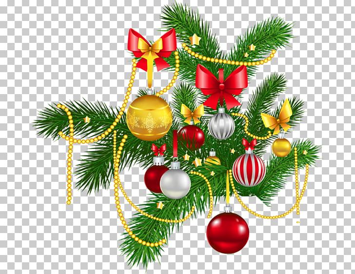 Christmas Ornament Christmas Decoration PNG, Clipart, Branch, Candy Cane, Christmas, Christmas Decoration, Christmas Ornament Free PNG Download