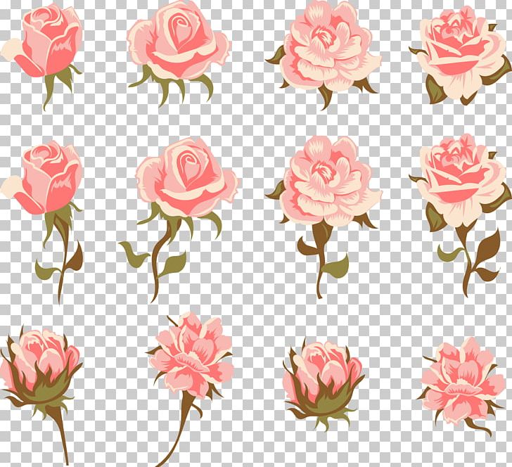 Garden Roses Centifolia Roses Pink Flower Vintage Clothing PNG, Clipart, Artificial Flower, Centifolia Roses, Floral Design, Flower Arranging, Flowers Free PNG Download