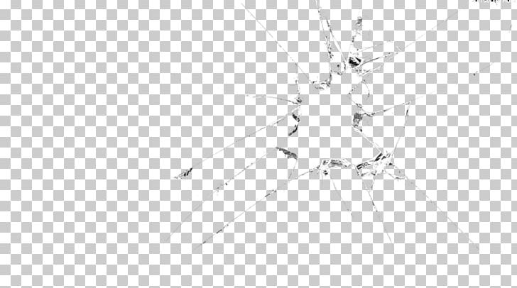 Sketch Insect Symmetry Pattern Line Art PNG, Clipart,  Free PNG Download