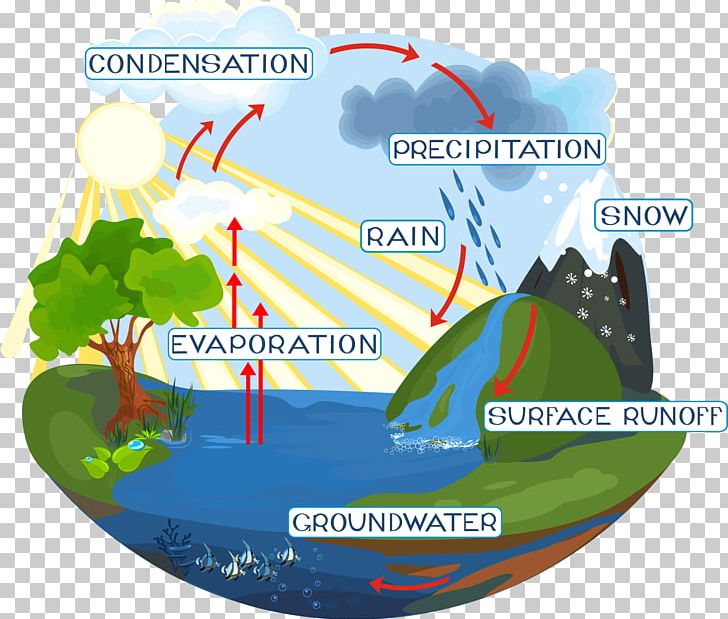 Water Cycle Diagram PNG, Clipart, Diagram, Drawing, Ecosystem Diversity, Evaporation, Fotolia Free PNG Download