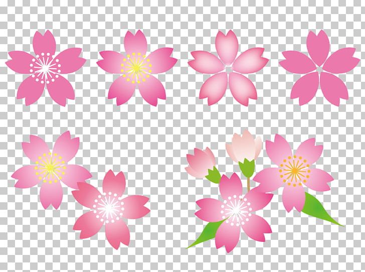 Cherry Flowers. PNG, Clipart, Blossom, Cherry Blossom, Computer Icons, Flora, Floral Design Free PNG Download