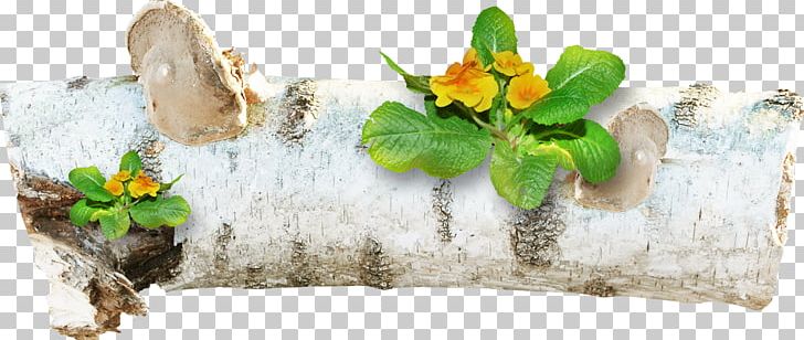 Flower Wood Vecteur PNG, Clipart, Branch, Cut Flowers, Download, Encapsulated Postscript, Flower Free PNG Download