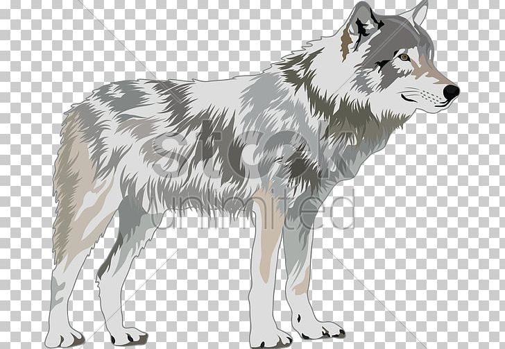 Gray Wolf PNG, Clipart, Animal, Art, Canadian Eskimo Dog, Canidae, Canis Lupus Tundrarum Free PNG Download