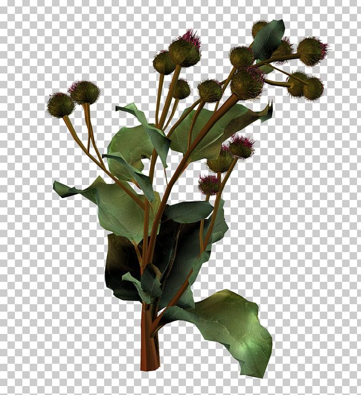 Flowerpot Plant Stem Leaf Flowering Plant PNG, Clipart, Branch, Branching, Flower, Flowering Plant, Flowerpot Free PNG Download