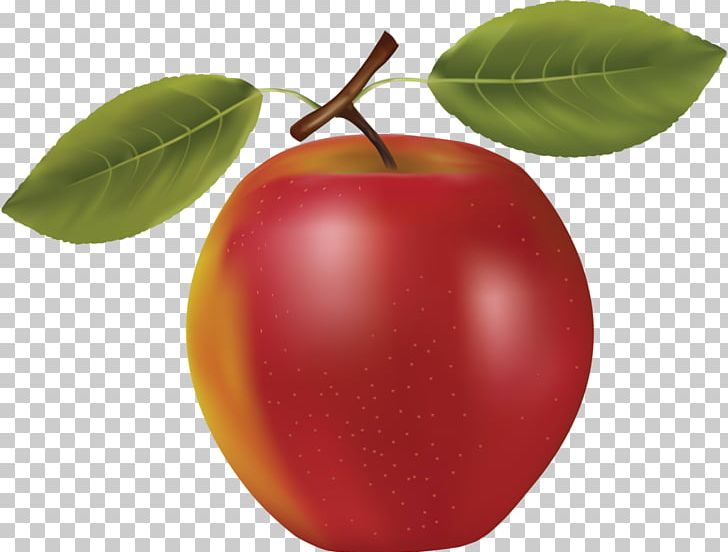 Fruit PNG, Clipart, Accessory Fruit, Acerola, Apple, Apricot, Art Free PNG Download