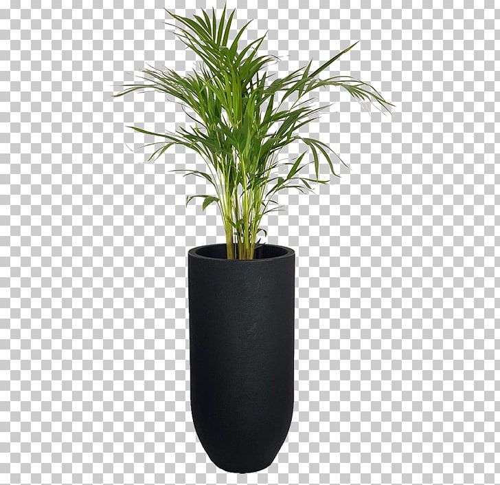 Arecaceae Flowerpot Garden Areca Palm Houseplant PNG, Clipart, Arecaceae, Areca Palm, Flowerpot, Garden, Houseplant Free PNG Download