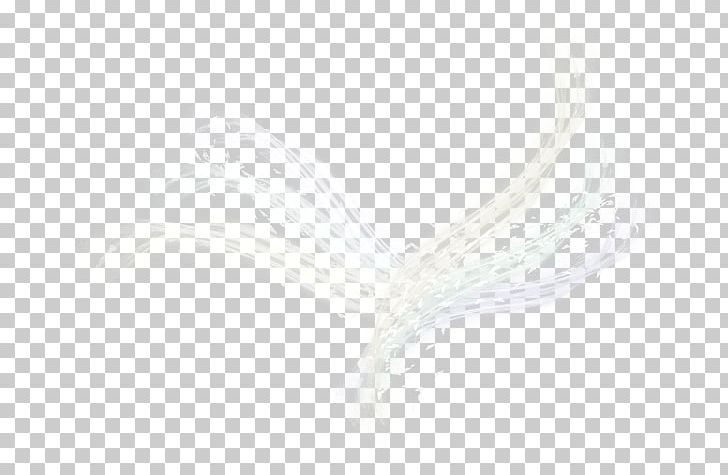 Eyebrow Close-up Feather PNG, Clipart, Animals, Closeup, Decoration, Eyebrow, Feather Free PNG Download