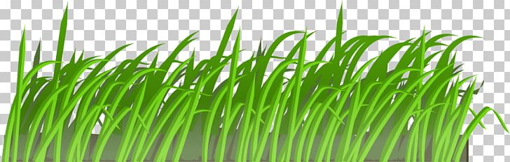 Lawn Free Content Computer Icons PNG, Clipart, Cartoon, Cartoon Grass Texture, Chrysopogon Zizanioides, Clip Art, Commodity Free PNG Download
