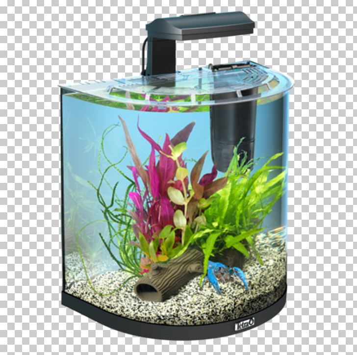 Tetra Aquariums Nano Aquarium Goldfish PNG, Clipart, Aquarium, Aquarium Decor, Aquarium Filters, Aquariums, Aquatic Plant Free PNG Download