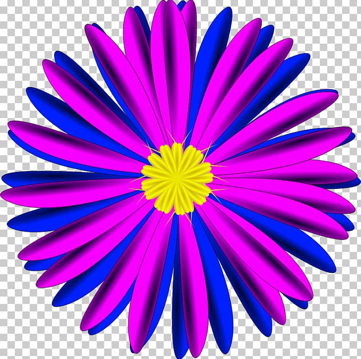 Blue Flower Pink PNG, Clipart, Aster, Blue, Blue Flower, Blue Rose, Chrysanths Free PNG Download