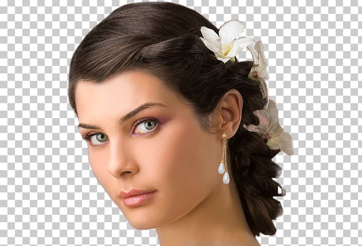 Hairstyle Italy Capelli Miss Italia 2009 PNG, Clipart, Beauty, Black Hair, Bride, Brown Hair, Bun Free PNG Download