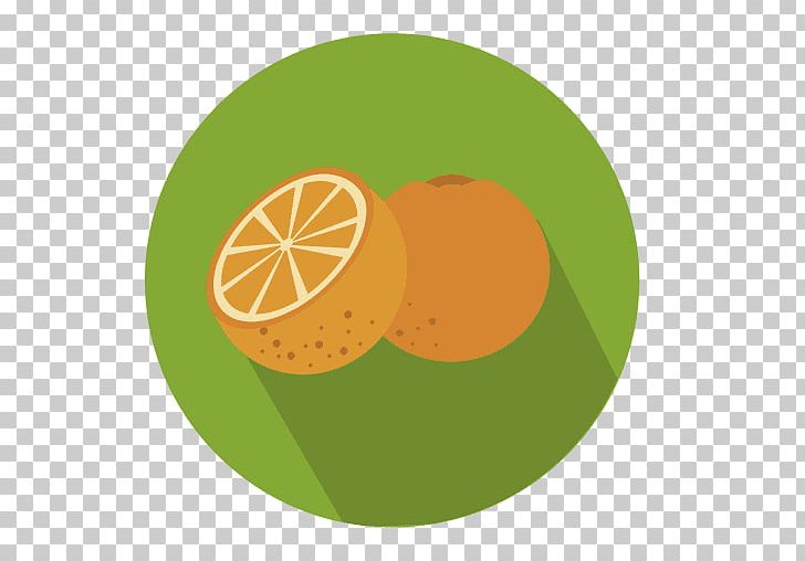 Computer Icons Orange PNG, Clipart, Circle, Citric Acid, Citrus, Computer Icons, Encapsulated Postscript Free PNG Download