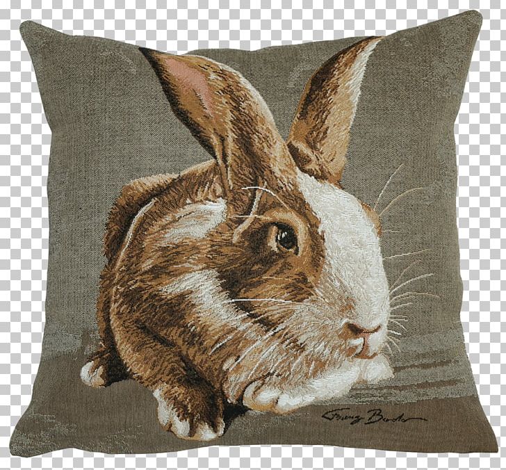 Cushion Domestic Rabbit Throw Pillows Slipcover PNG, Clipart, Belgium, Cushion, Domestic Rabbit, Easter, Fauna Free PNG Download