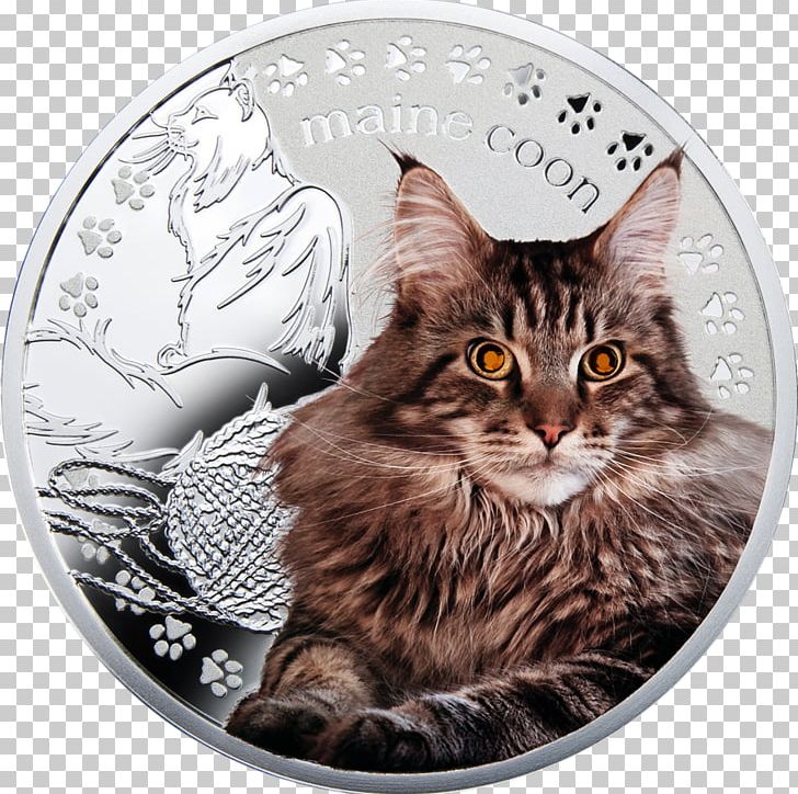 Maine Coon Norwegian Forest Cat Dragon Li Whiskers Domestic Short-haired Cat PNG, Clipart, California Spangled, Carnivoran, Cat, Cat Like Mammal, Coin Free PNG Download