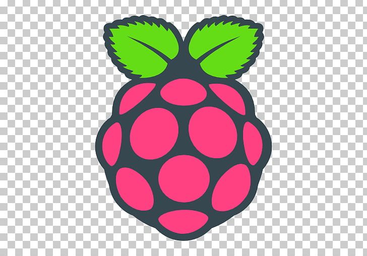 Raspberry Pi Foundation Computer Cases & Housings Raspbian PNG, Clipart, Arduino, Arm Architecture, Circle, Computer, Computer Cases Housings Free PNG Download