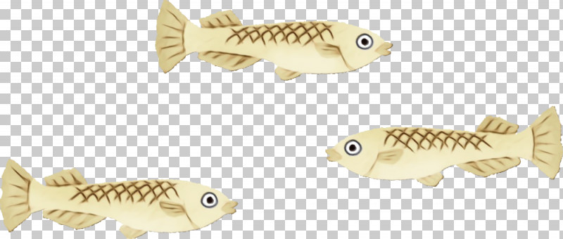 Fish Fish Carp Bony-fish Cyprinidae PNG, Clipart, Bonyfish, Carp, Cyprinidae, Fish, Paint Free PNG Download