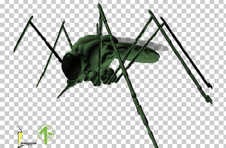 Cricket Insect Cloning Pest Game PNG, Clipart, All The Way Up, Arthropod, Cloning, Cricket, Cricket Like Insect Free PNG Download