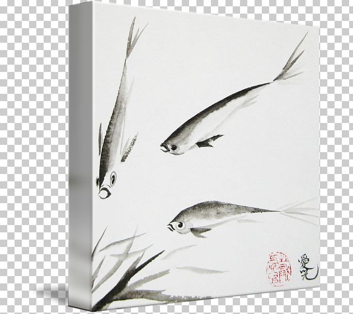 Feather Bird Beak Frames PNG, Clipart, Animals, Beak, Bird, Black And White, Feather Free PNG Download