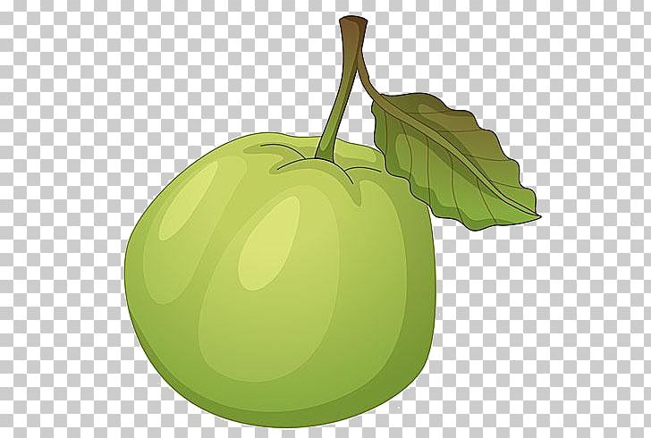 Guava PNG, Clipart, Apple, Background Green, Balloon Cartoon, Boy Cartoon, Cartoon Character Free PNG Download