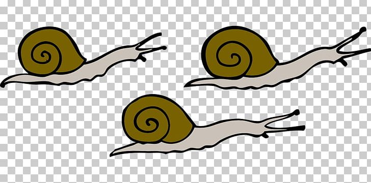 Snail PNG, Clipart, Animals, Artwork, Beak, Cartoon, Computer Icons Free PNG Download