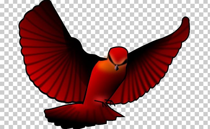 Bird Open Northern Cardinal PNG, Clipart, Beak, Bird, Bird Flight, Bird Of Prey, Computer Icons Free PNG Download