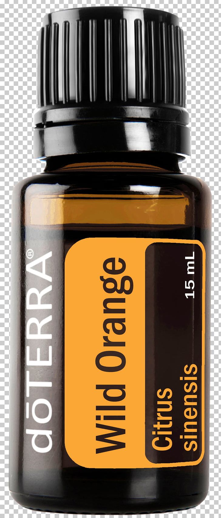 Orange Oil DoTerra Essential Oil PNG, Clipart, Absolute, Aroma Compound, Aromatherapy, Chinese Cinnamon, Doterra Free PNG Download