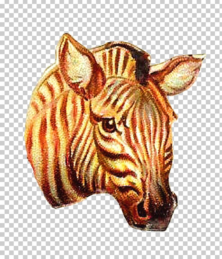 Quagga Tiger Zebra PNG, Clipart, Animal, Animals, Big Cat, Big Cats, Blog Free PNG Download
