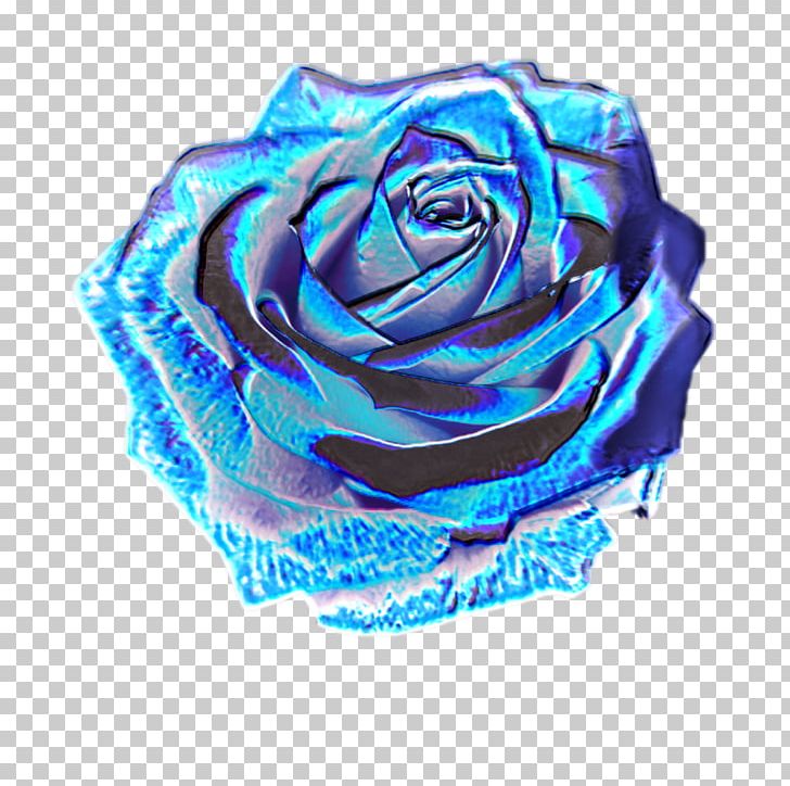 Garden Roses Portable Network Graphics Holography PNG, Clipart, Aesthetics, Blue, Blue Rose, Cobalt Blue, Cut Flowers Free PNG Download