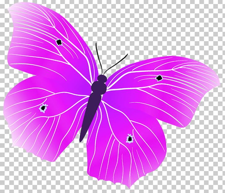 Monarch Butterfly .ru LiveInternet Butterflies And Moths Russia PNG, Clipart, Adobe After Effects, Brush Footed Butterfly, Flower, Lilac, Magenta Free PNG Download