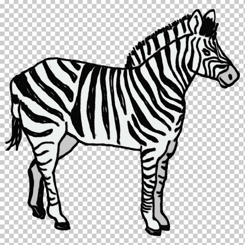 Zebra Royalty-free Lion Poster PNG, Clipart, Lion, Paint, Poster, Royaltyfree, Watercolor Free PNG Download