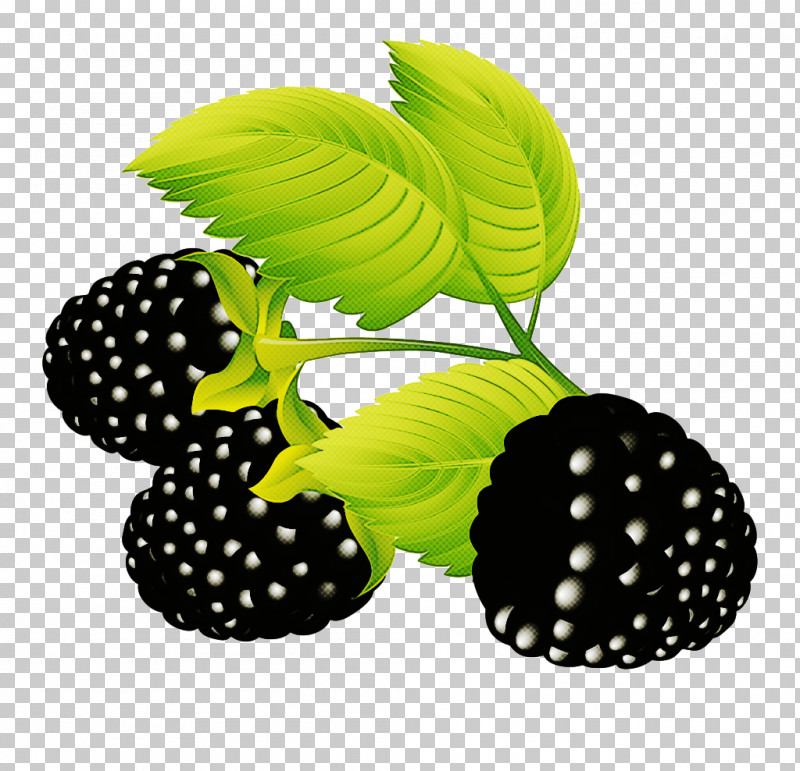 Blackberry Berry Green Leaf Plant PNG, Clipart, Accessory Fruit, Berry, Blackberry, Fruit, Frutti Di Bosco Free PNG Download