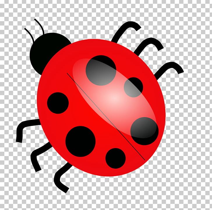 Beetle Ladybird Ladybird PNG, Clipart, Animals, Beetle, Bugs, Cartoon, Drawing Free PNG Download