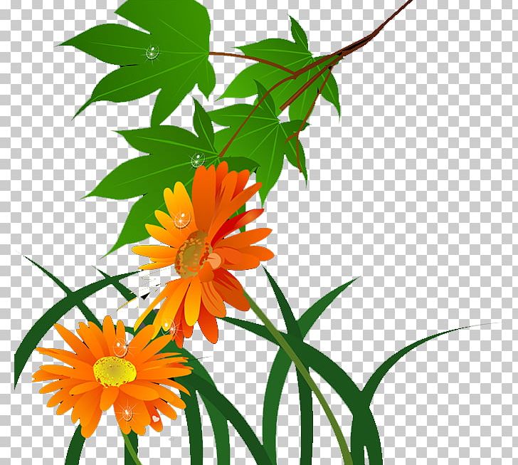 Chrysanthemum Plant Flower PNG, Clipart, Animation, Branch, Chrysanthemum Chrysanthemum, Chrysanthemums, Dahlia Free PNG Download