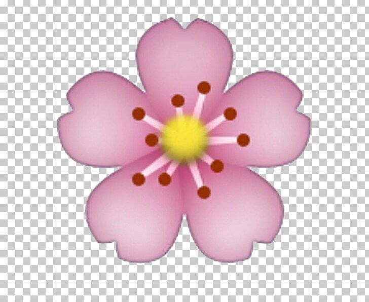 Emoji Sticker Iphone Flower Png