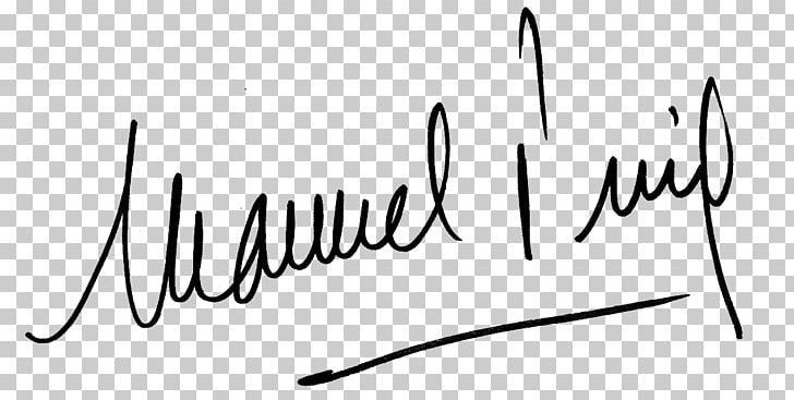 Digital Signature Handwriting MIME PNG, Clipart, Angle, Area, Art, Artwork, Black Free PNG Download