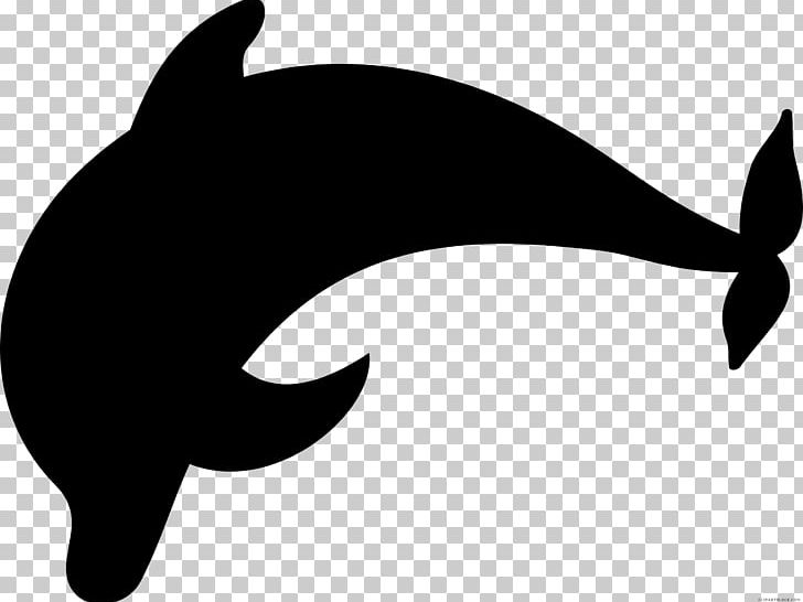 Dolphin Silhouette PNG, Clipart, Animals, Black, Carnivoran, Cat, Cat Like Mammal Free PNG Download