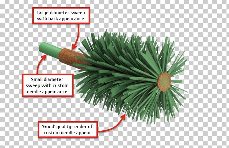 Fir SolidWorks Pine 3D Computer Graphics Spruce PNG, Clipart, 3d Computer Graphics, Cell, Challenge, Conifer, Fir Free PNG Download