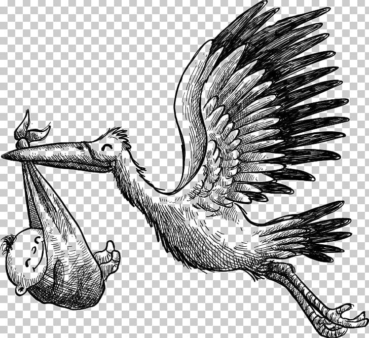 White Stork Euclidean PNG, Clipart, Animals, Art, Baby, Baby Clothes, Bird Free PNG Download