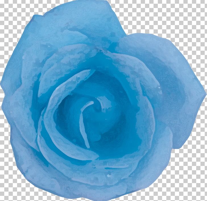 Blue Rose Centifolia Roses Garden Roses Petal PNG, Clipart, Aqua, Azure, Blue, Blue Flower, Blue Rose Free PNG Download