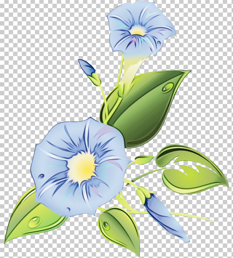 Floral Design PNG, Clipart, Cut Flowers, Floral Design, Flower, Morning Glory, Paint Free PNG Download