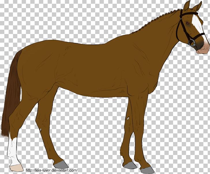 Mule Pony Mustang Mare Foal PNG, Clipart, Bridle, Colt, Donkey, Equestrian, Foal Free PNG Download